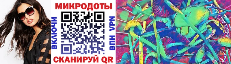 Купить где  Юрьев-Польский  Галлюциногенные грибы Magic Shrooms 